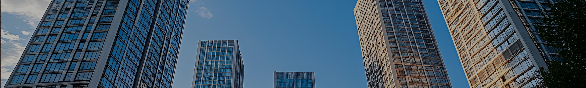 公司介绍