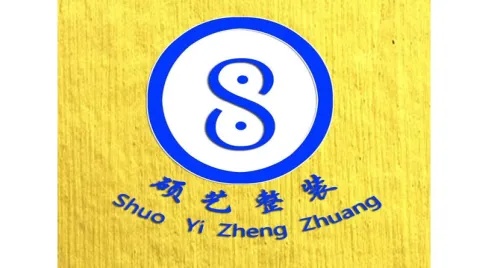 SHUOYIZHENGZHUANG