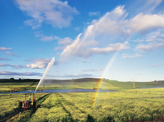 Een Aqua Vegetal Glyphosate Pesticide Assistant CGN-3