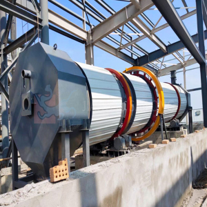 Single cylinder rotary dryer