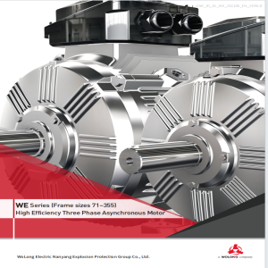 WE3, WE4, WE5 non explosion-proof motors certified by EU CE, Russian CU-TR, EAC