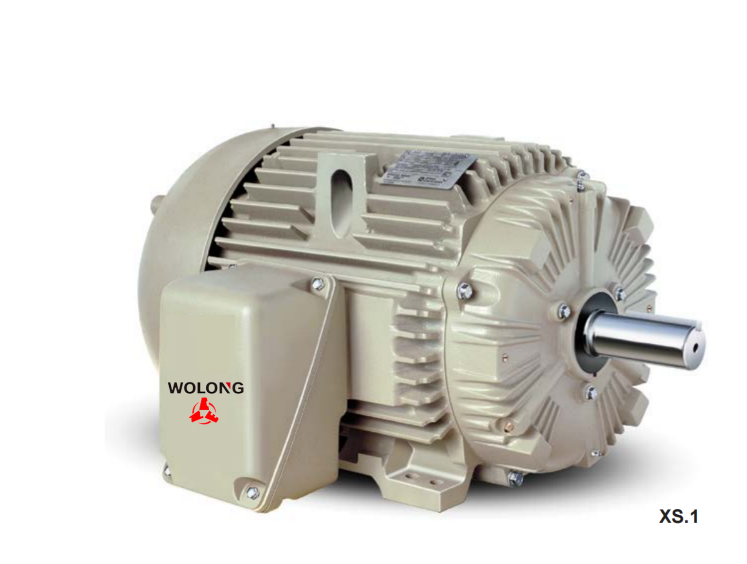 Nanyang explosion-proof motor