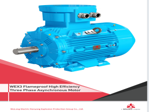 Экспортная серия WEX3CU-TR,ATEX,IECEX