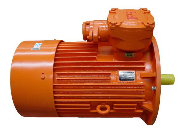 Nanyang explosion-proof motor