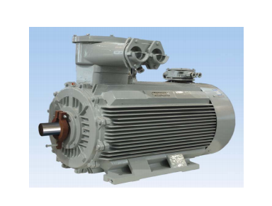 Nanyang explosion-proof,Nanyang explosion-proof motor