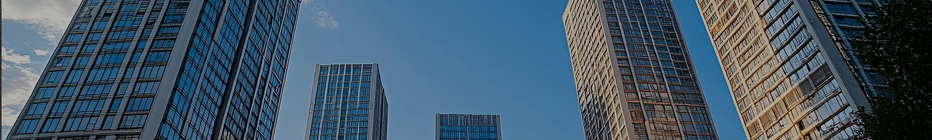 公司介绍
