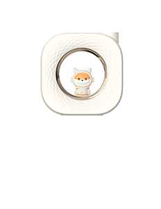 Moonlight Humidifier