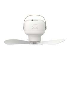 Multi-function Ceiling Fan