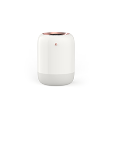 Air Humidifier