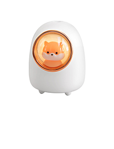 Space capsule humidifier